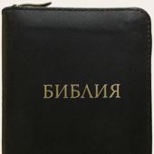 Библия в современном русском переводе. 047УZTI (черный кожаный переплет, золотой обрез, на молнии)