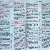 Библия каноническая; изд-во «Акварель» (красная, вензель; Синодальный перевод 1876 г.