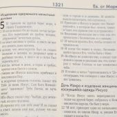 Новая Женевская Библия (коричневая)