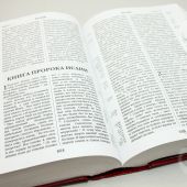 Библия с неканоническими книгами (с параллельными местами и приложениями, Летопись)