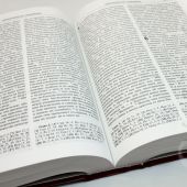 Библия с неканоническими книгами (илл. Г. Доре, Духовное преображение)