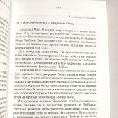Ради счастья Моих детей, которых Я избрал ИИСУС. Духовные беседы. Т.2