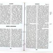 Библия с неканоническими книгами (Никея, искусственная кожа, параллельными местами и приложениями)