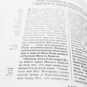 Библия с неканоническими книгами (Никея, искусственная кожа, параллельными местами и приложениями)