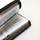 Библия каноническая 048 zti (Минск, мягкий переплет, золотой обрез с указателями, черная)