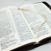 Библия каноническая 077 zti (темно-коричневый, орнамент по периметру, на молнии, золотой обрез)