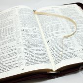 Библия каноническая 077 zti (бордо, угловой орнамент, на молнии, золотой обрез)