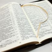 Библия каноническая 077 zti (коричневый, узор по периметру, на молнии, золотой обрез)