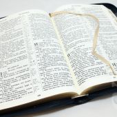 Библия каноническая 077 zti (темно-синий, виноградная гроздь, на молнии, золотой обрез, указатели)