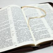Библия каноническая 077 zti (коричневый, тройной орнамент по периметру, на молнии, золотой обрез)