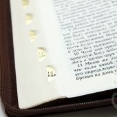 Библия каноническая 077 zti (коричневый, тройной орнамент по периметру, на молнии, золотой обрез)