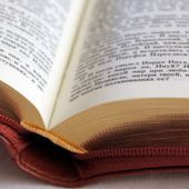 Библия каноническая 055 Z (коричнево-бордовая, золотой обрез, молния)