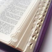Библия каноническая 047 ZTI (фиолетовая, под крокодила, золотой обрез, молния, указатели)