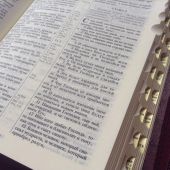 Библия каноническая 047 ZTI (темная вишня с шишечками, золотой обрез, молния, указатели)