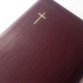 Библия каноническая 047 ZTI (бордо, под крокодила, золотой обрез, молния, указатели)