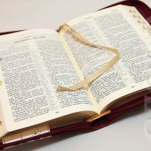 Библия каноническая 047 ZTI (бордо, с орнаментом по центру, золотой обрез, молния, указатели)