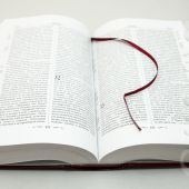 Библия с неканоническими книгами (Эксмо, 150*250, бордо, твердый переплет)