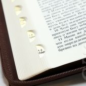 Библия каноническая 077 zti (коричневый, оливковая ветвь, на молнии, золотой обрез)