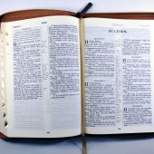Библия каноническая 055 zti (светло-коричневый, дерево, на молнии, золотой обрез, индексы)