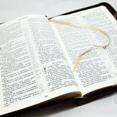 Библия каноническая 077 zti (бордо, на молнии, золотой обрез)