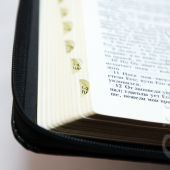 Библия каноническая 055 zti (черный, золотой обрез, на молнии, индексы)