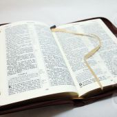 Библия каноническая 055 zti (коричневый, виноградная лоза по центру, золотой обрез, индексы)