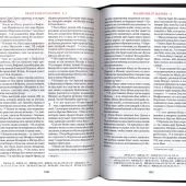Библия. Книги Священного Писания Ветхого и Нового Завета (Сибирская Благозвонница) 200*255 мм
