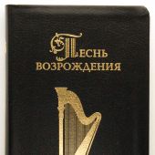 Песнь Возрождения (3055 г.мнов, кожа, молния)