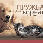Дружба верная