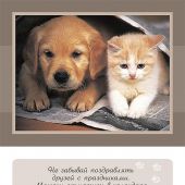 Дружба верная