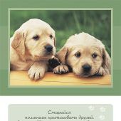 Дружба верная