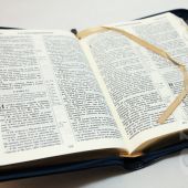 Библия каноническая 055 zti (темно-синий с коричн. горизонт.полосой, на молнии, зол. обрез, индексы)