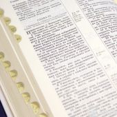 Библия каноническая 055 ti (Свадебная Библия, белая, золотой обрез, указатели, в коробке)