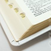 Библия каноническая 055 ti (Свадебная Библия, белая, золотой обрез, указатели, в коробке)