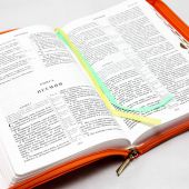 Библия каноническая 077 ZTI (оранжевый, с вертикальным орнаментом у корешка, на молнии, указатели)