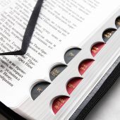 Библия каноническая 077 DTZTI (черный-коричневый с орнаментом, на молнии, указатели)
