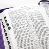Библия каноническая 046 DTZTI (черный — тканевая вставка из цветов — фиолетовый, молния, указатели)