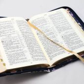 Библия каноническая 055 zti (синяя, розовые цветы, на молнии, золотой обрез, индексы)