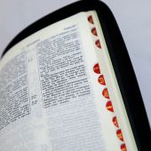 Библия каноническая 047 ZТI (черный кожаный переплет, терновый венец линии, золотой обрез, молния)