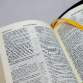 Библия каноническая 047 Z (черный кожаный переплет, терновый венец, золотой обрез)