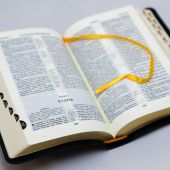 Библия каноническая 047 TI (черный кожаный переплет, лучи солнца, золотой обрез)