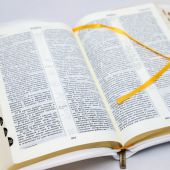 Библия каноническая 077 ZТI (белый кожаный переплет, золотые ветви, золотой обрез, на молнии)