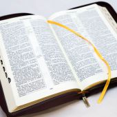 Библия каноническая 077 ZTI (вишневый кожаный переплет, золотые волны, золотой обрез, на молнии)