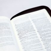 Библия каноническая 077 ZTI (вишневый кожаный переплет, золотые волны, золотой обрез, на молнии)