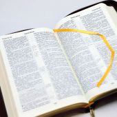 Библия каноническая 077 Z (вишневый кожаный переплет, золотые волны, золотой обрез, на молнии)