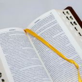 Библия каноническая 045 УTIDT (коричневый—светло-коричневый, экокожа, золотой обрез, указатели)