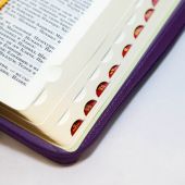 Библия каноническая 077 ZТI (фиолетовый кожаный переплет, золотые ветви, золотой обрез, на молнии)