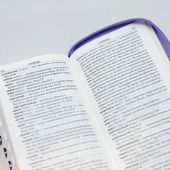 Библия каноническая 045 УZTIB (светло-сиреневый, экокожа, серебряный обрез, на молнии)
