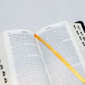 Библия каноническая 045 УTIDT (черный—светло-коричневый, экокожа, золотой обрез, указатели)