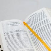 Библия каноническая 045 УTIA (светло-коричневый, экокожа, золотой обрез)